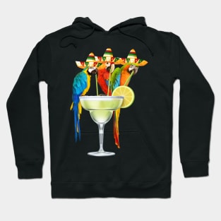 Parrot Cinco De Mayo Funny Drinking Tequila Mexican Fiesta Hoodie